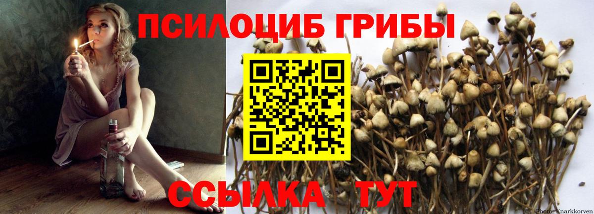 цена наркотик  Вход с VPN  Мыски  Галлюциногенные грибы Psilocybe 